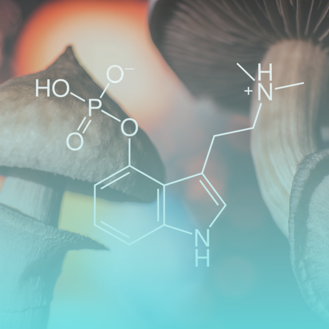 World’s Largest Psilocybin Therapy Study Shows Rapid, Powerful Relief.