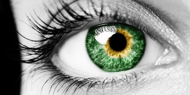 ketamine creates a new vision