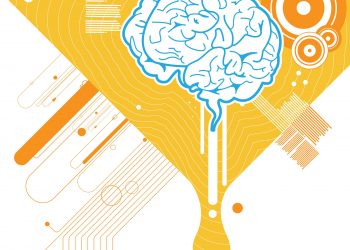 Researchers studying the effects of ketamine on sheep might have accidentally discovered the reason people k-hole.
