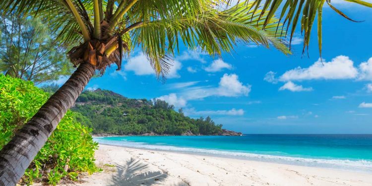 MycoMeditations is a psychedelic-retreat company in Treasure Beach, Jamaica, that facilitates 10-day trips where attendees take psychedelic, or "magic," mushrooms.