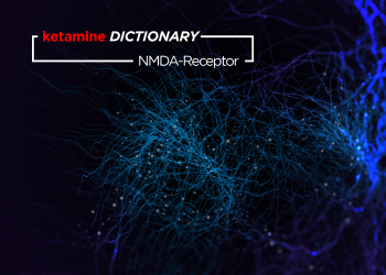 NMDA Receptor