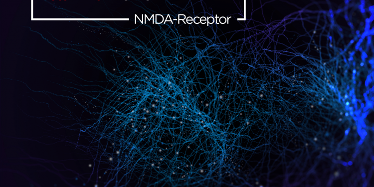 NMDA Receptor